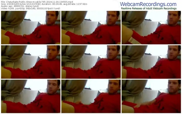 2024/11/09/chaturbate-jak3y765-13-45-55