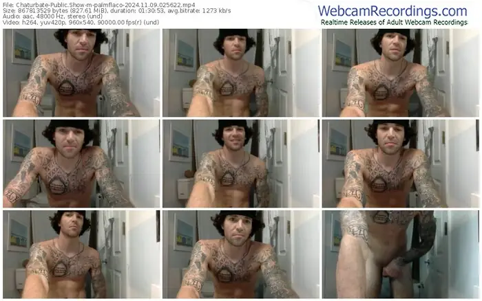 2024/11/09/chaturbate-palmflaco-02-56-22