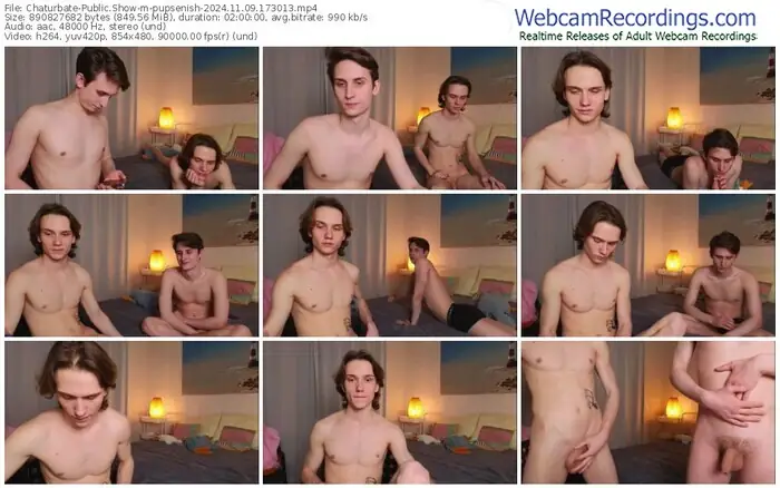 2024/11/09/chaturbate-pupsenish-17-30-13