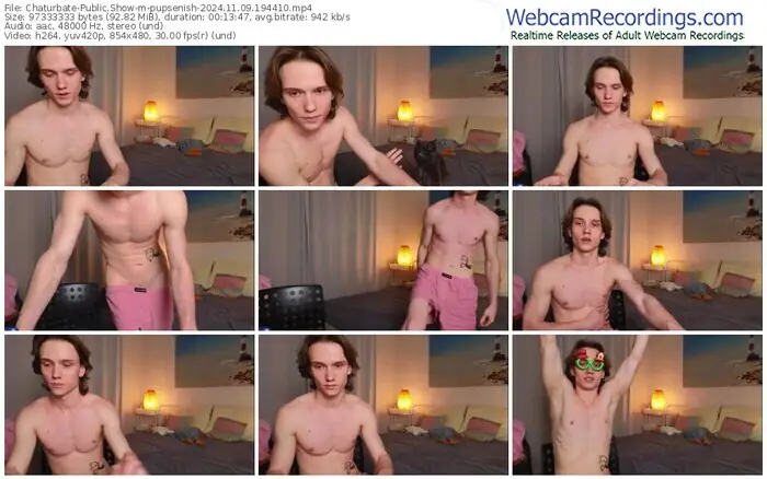 2024/11/09/chaturbate-pupsenish-19-44-10