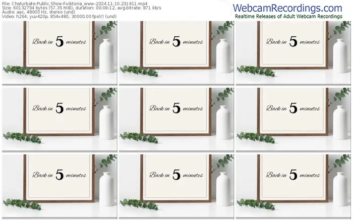 2024/11/10/chaturbate-viktoria_www-23-19-11
