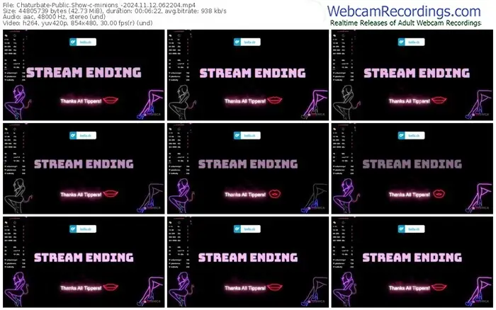 2024/11/12/chaturbate-minions_-06-22-04