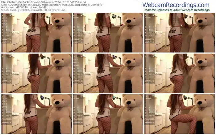 2024/11/12/chaturbate-007movie-04-35-59