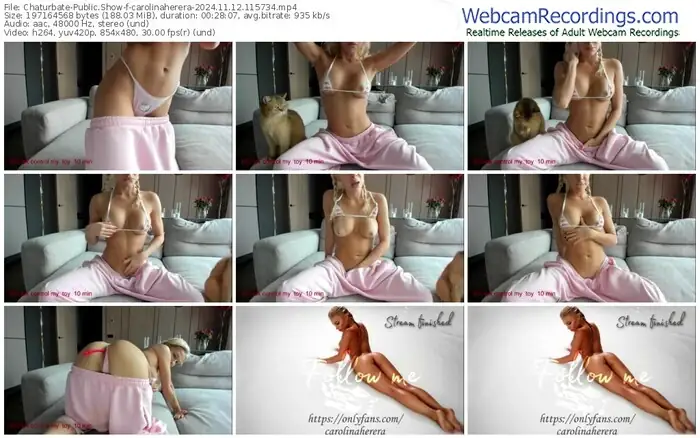 2024/11/12/chaturbate-carolinaherera-11-57-34