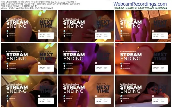 2024/11/12/chaturbate-cathleenprecious-22-47-52