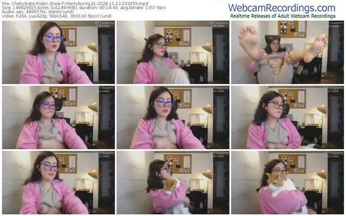 2024/11/12/chaturbate-cherrybunny21-23-29-55
