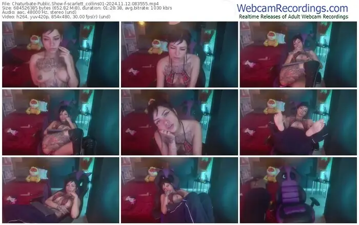 2024/11/12/chaturbate-scarlett_collins01-08-35-55