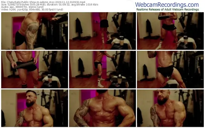 2024/11/12/chaturbate-adonis_msc-01-09-32