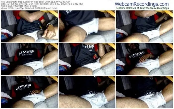 2024/11/12/chaturbate-ogdigbick-07-32-03