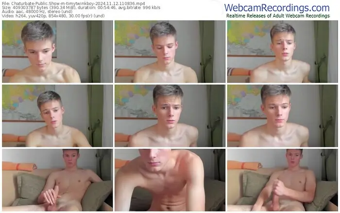 2024/11/12/chaturbate-timytwinkboy-11-08-36