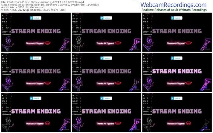 2024/11/13/chaturbate-minions_-06-29-38