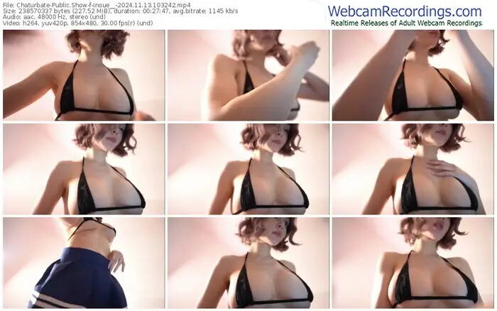 2024/11/13/chaturbate-inoue__-10-32-42