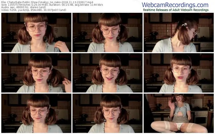 2024/11/13/chaturbate-mekyy_no_neko-22-06-17