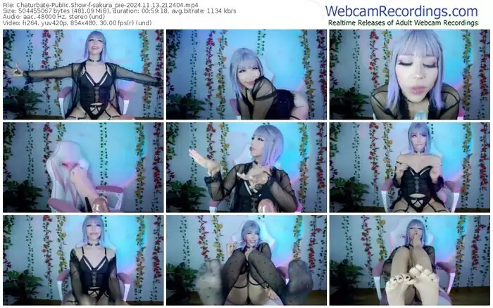 2024/11/13/chaturbate-sakura_pie-21-24-04
