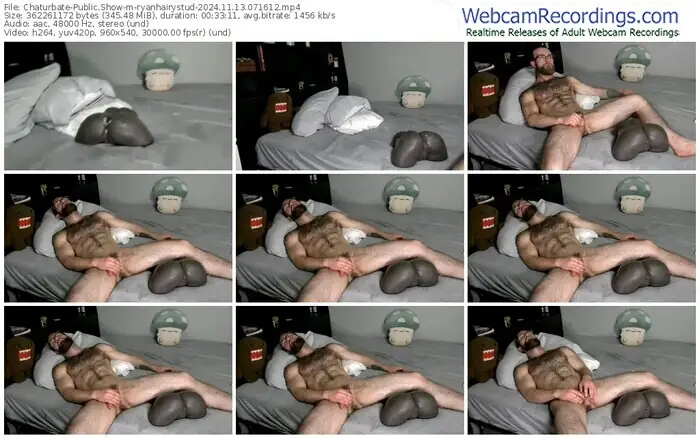 2024/11/13/chaturbate-ryanhairystud-07-16-12
