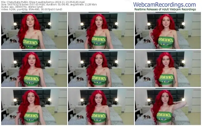 2024/11/13/chaturbate-audreyberryx-05-41-40