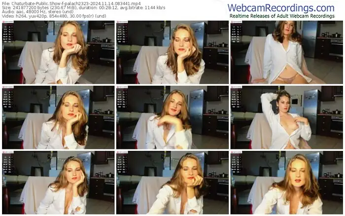 2024/11/14/chaturbate-palach2323-08-34-41