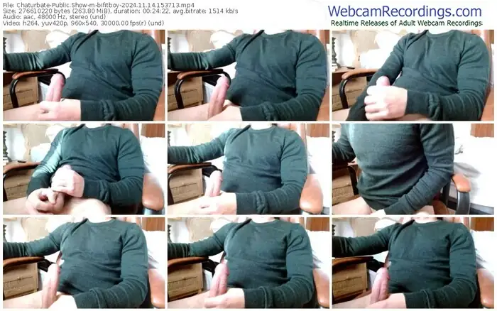 2024/11/14/chaturbate-bifitboy-15-37-13