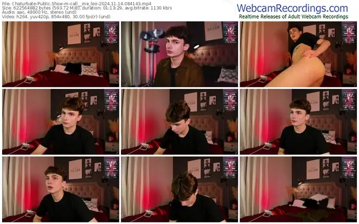 2024/11/14/chaturbate-call__me_leo-08-41-43