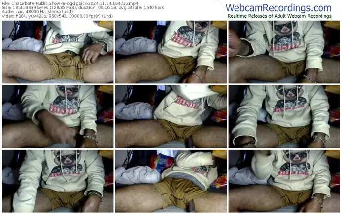 2024/11/14/chaturbate-ogdigbick-16-47-15