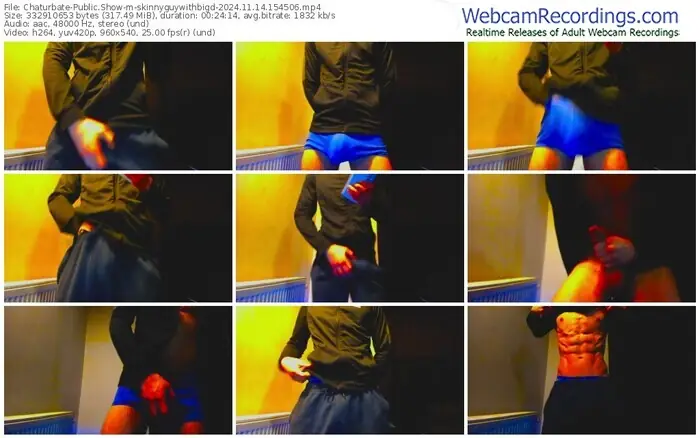 2024/11/14/chaturbate-skinnyguywithbigd-15-45-06