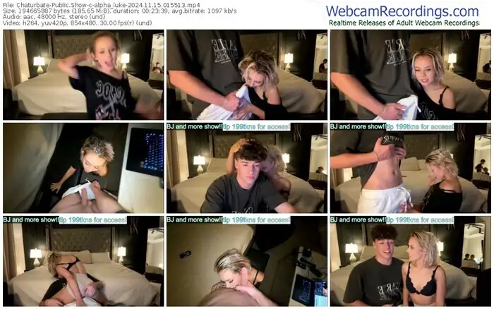 2024/11/15/chaturbate-alpha_luke-01-55-13