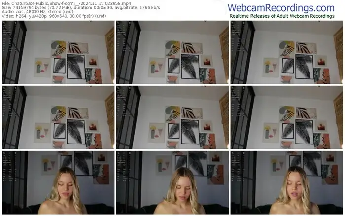 2024/11/15/chaturbate-corni__-02-39-58