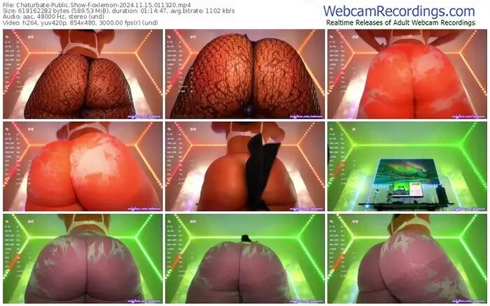 2024/11/15/chaturbate-oxlemon-01-13-20