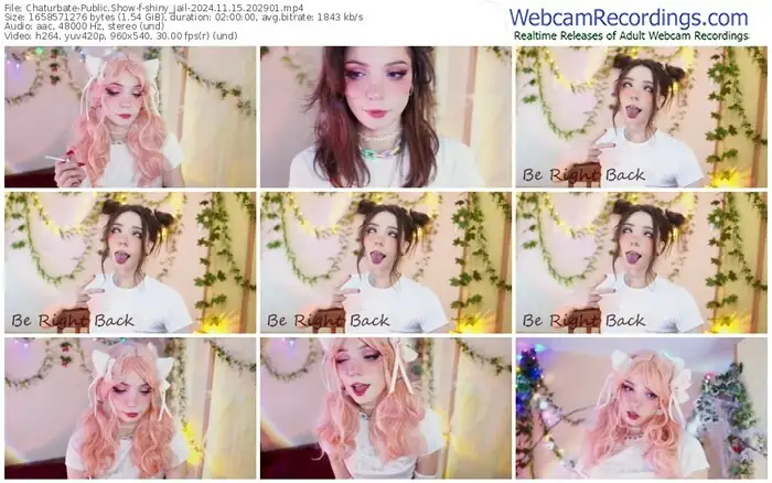 2024/11/15/chaturbate-shiny_jail-20-29-01