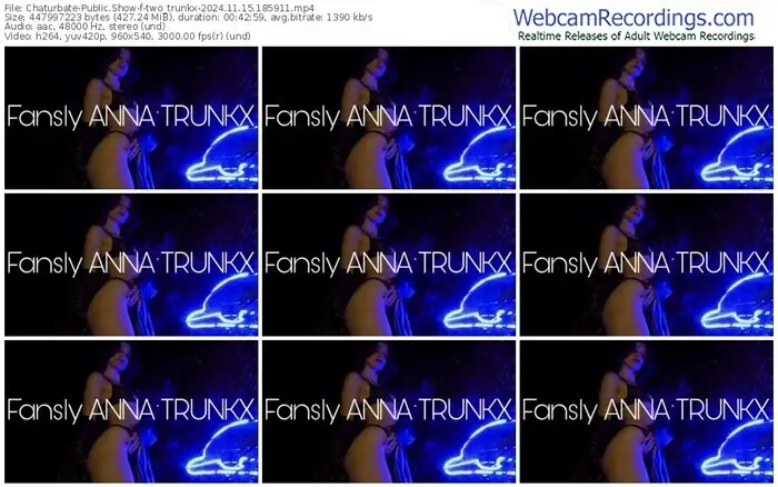 2024/11/15/chaturbate-two_trunkx-18-59-11
