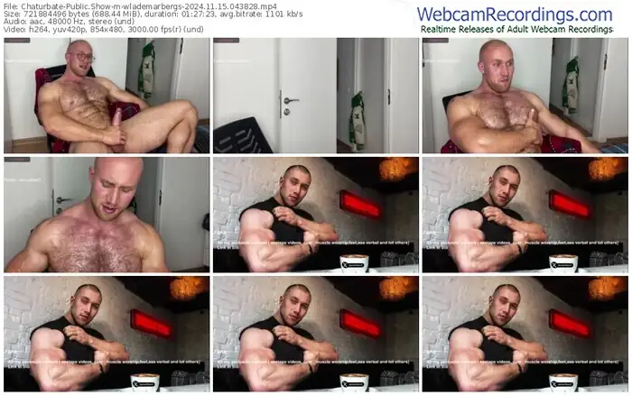 2024/11/15/chaturbate-wlademarbergs-04-38-28