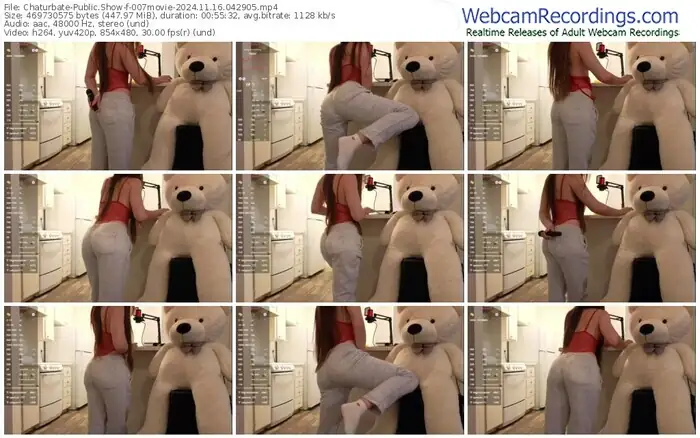 2024/11/16/chaturbate-007movie-04-29-05
