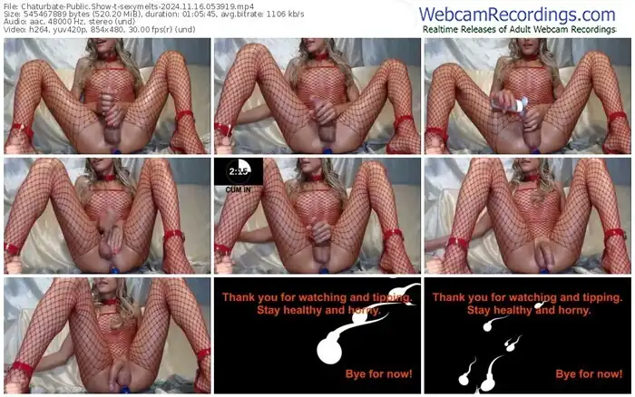 2024/11/16/chaturbate-sexymelts-05-39-19