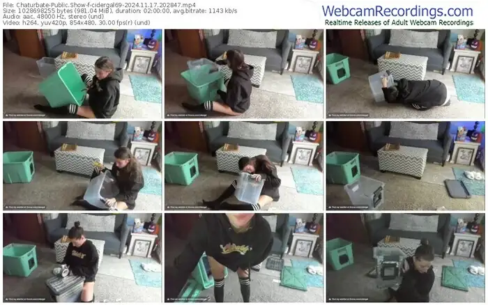 2024/11/17/chaturbate-cidergal69-20-28-47