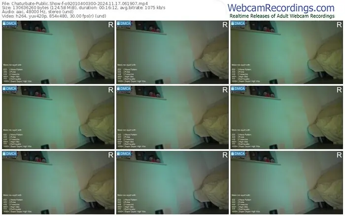2024/11/17/chaturbate-o92010400300-06-19-07
