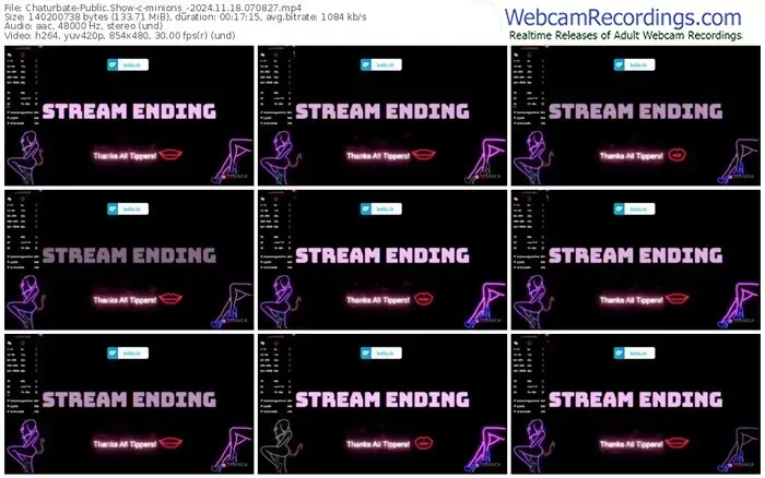 2024/11/18/chaturbate-minions_-07-08-27