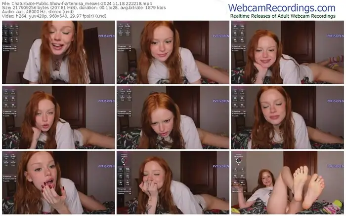 2024/11/18/chaturbate-artemisa_meows-22-22-18