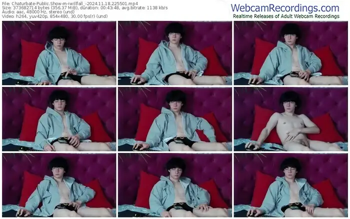 2024/11/18/chaturbate-iwillfall_-22-55-01