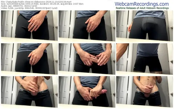 2024/11/19/chaturbate-idekwizzzz-02-01-34