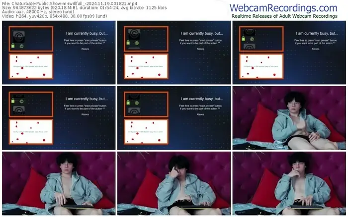 2024/11/19/chaturbate-iwillfall_-00-18-21