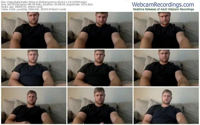 2024/11/19/chaturbate-thehairyprince-19-05-50