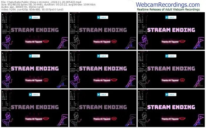 2024/11/20/chaturbate-minions_-06-54-22