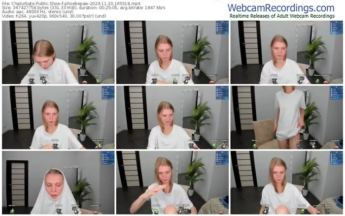 2024/11/20/chaturbate-phoebepaw-16-55-18