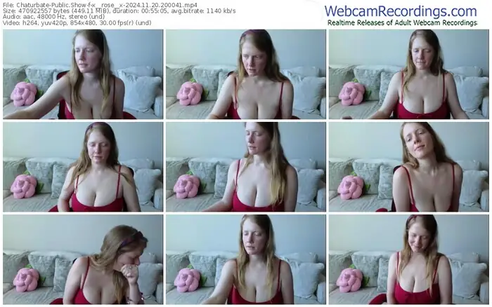2024/11/20/chaturbate-x__rose__x-20-00-41