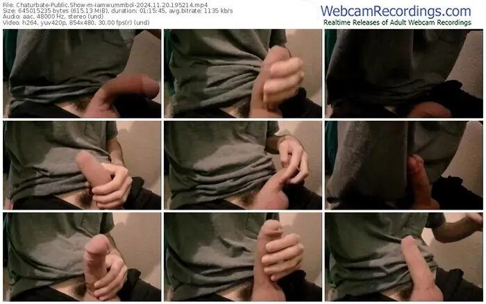 2024/11/20/chaturbate-iamwummbol-19-52-14