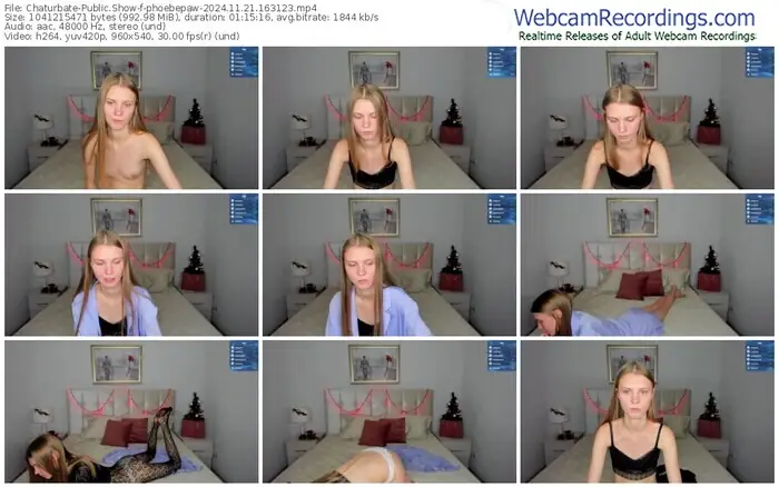 2024/11/21/chaturbate-phoebepaw-16-31-23