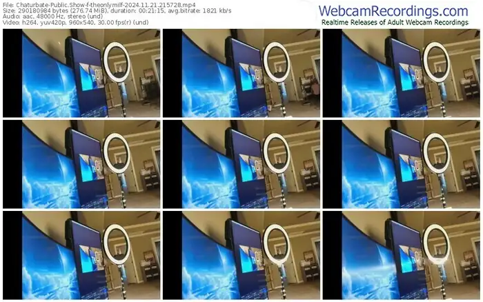 2024/11/21/chaturbate-theonlymilf-21-57-28