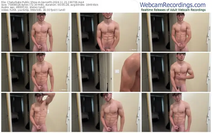 2024/11/21/chaturbate-lexnorth-19-07-06