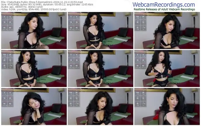 2024/11/22/chaturbate-diannedinn1-11-31-53