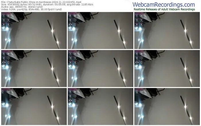 2024/11/22/chaturbate-twintease-02-24-51